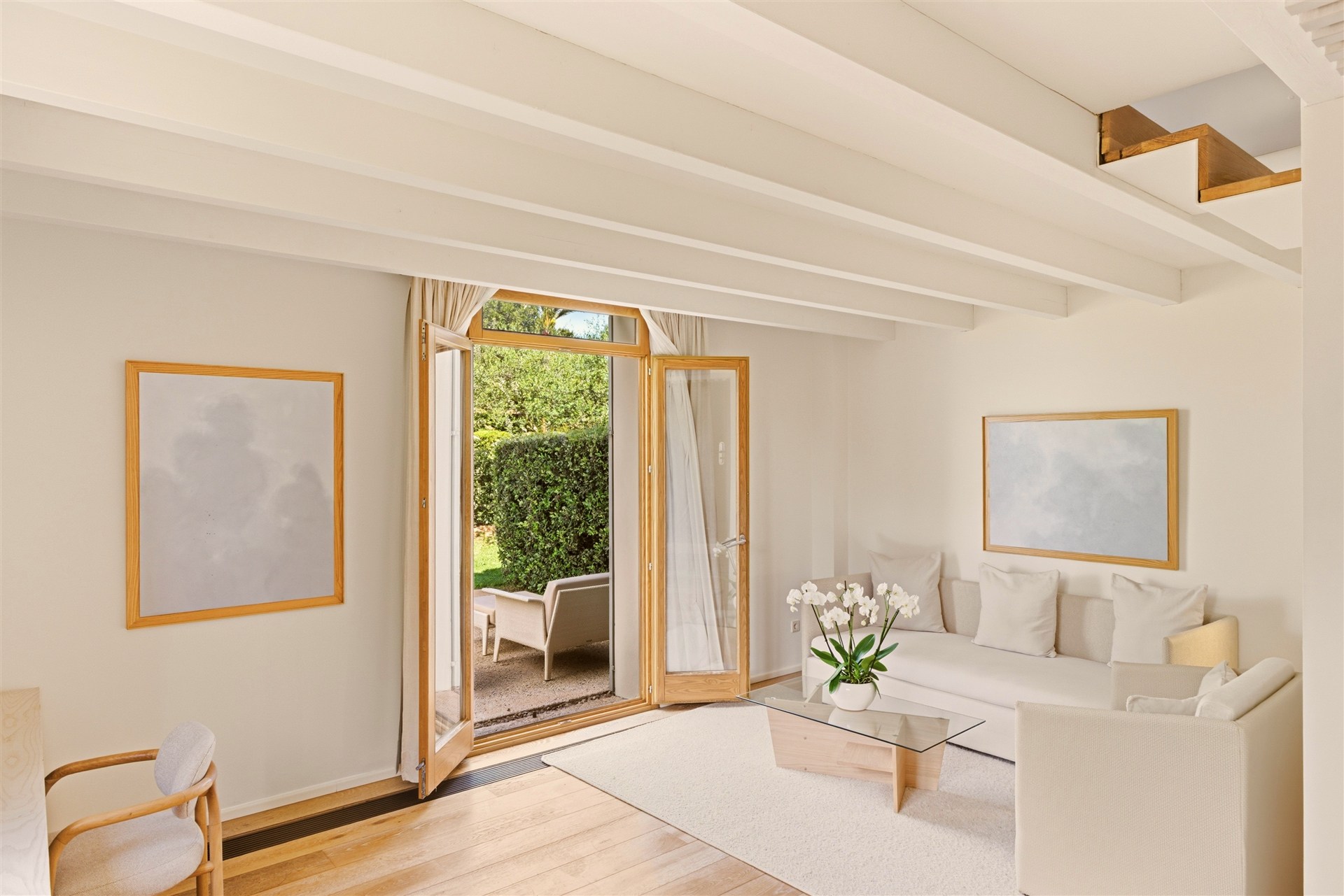Premium Suite