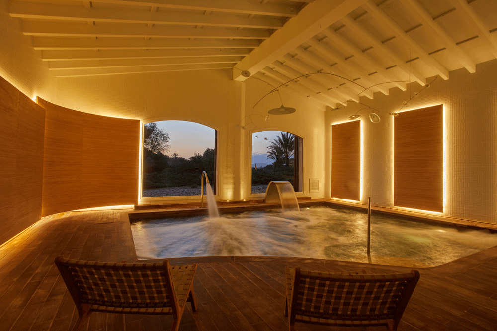 wellness
